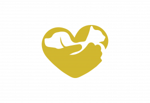 Picture of ImpreunapentruBlanosi.org